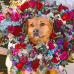 WINTER IN THE MOUNTAINS WEDDING