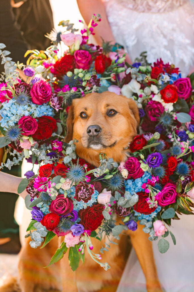 WINTER IN THE MOUNTAINS WEDDING