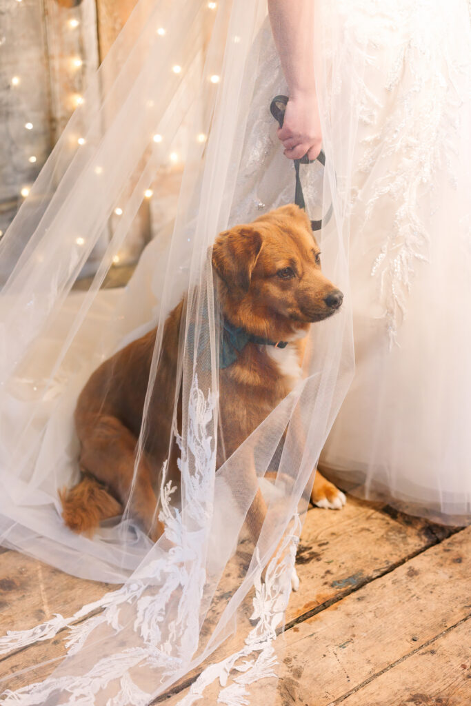 © Kelly Payeur Photography